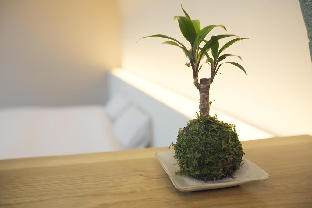 Ryokan Mokuzin Hakuba Cameră foto
